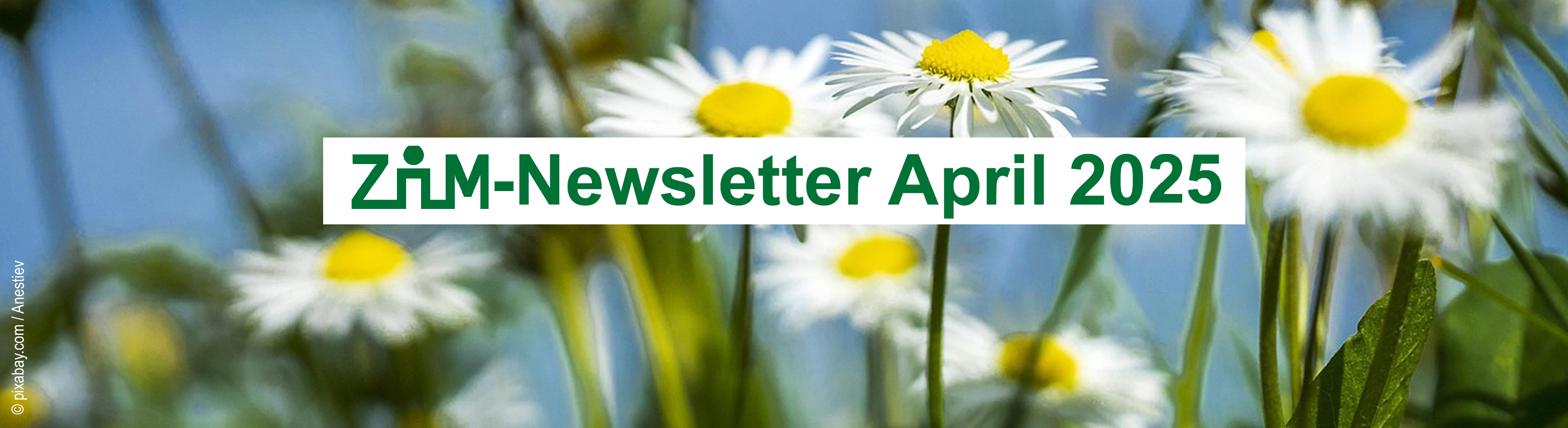 Header Zim-newsletter August 2024