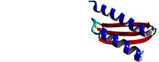 Logo der Organisationseinheit Strukturelle und Medizinische Biochemie
