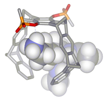 Molekulare Pinzetten und Klammern zur Enzymhemmung