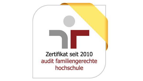 Schmuckgrafik Audit