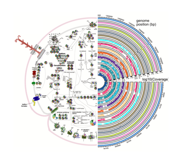 Interview mit Dr. Till Leander Valentin Bornemann