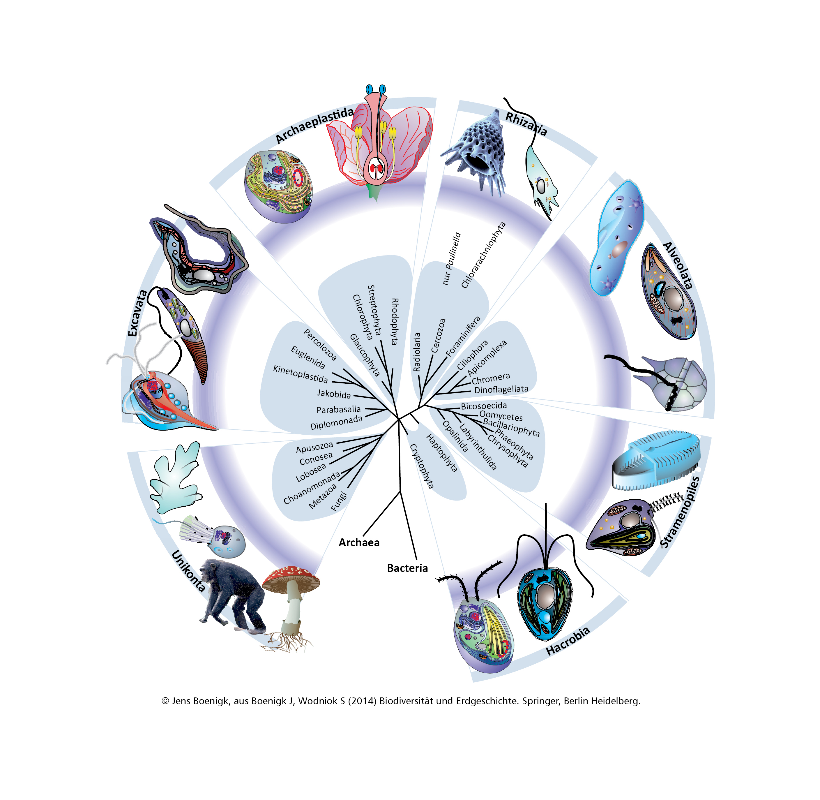 Megasystematik Ohne Titel