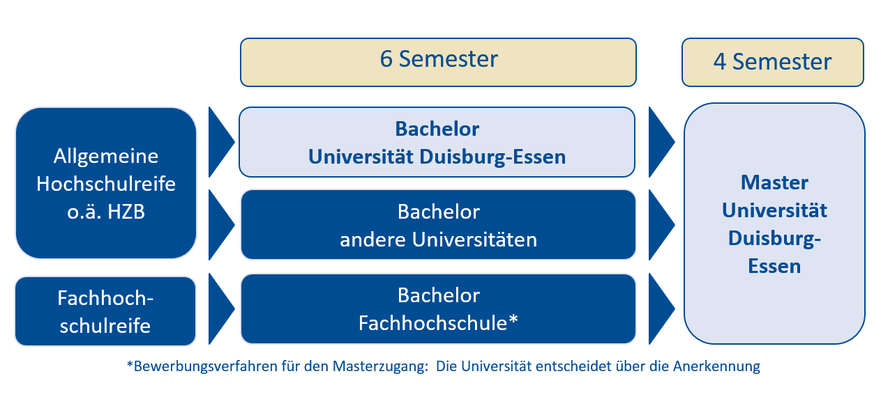 Studienstruktur Klein