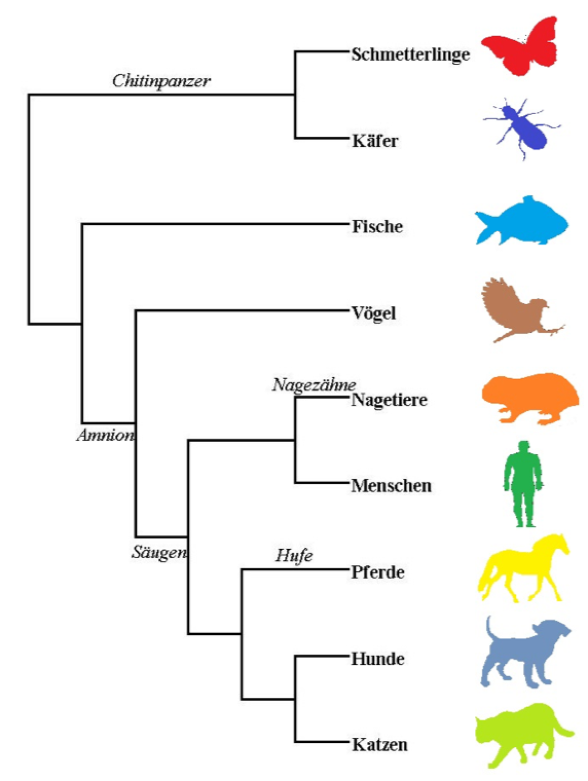 Evolutionärer Stammbaum