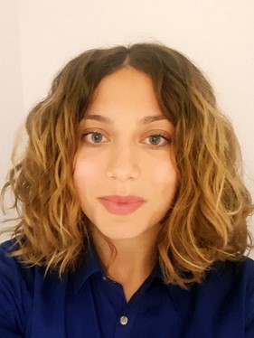 Mikro Mitarbeiter Hadziomerovic