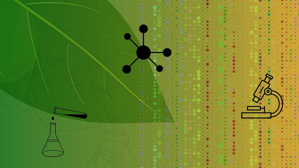 Das Bild zeigt eine Collage aus verschiedenen Elementen, die mit Biologie und dem Wissenschaftsgebiet Biologie assoziiert sind