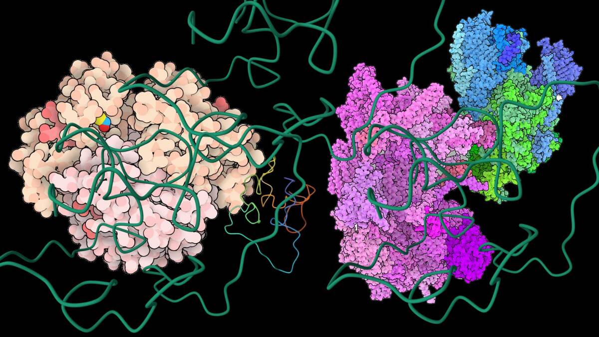 Verschiedene abstrakte Proteinsymbole aus Zeichnungen von David Goodsell und der Proteindatenbank auf schwarzem Hintergrund.