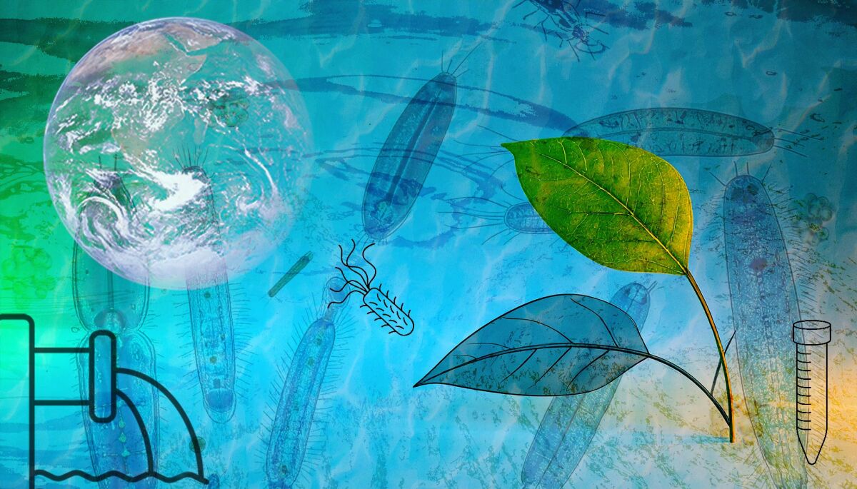 Bildcollage mit einem gelb-grünem Farbverlauf als Hintergrund und verschiedenen Symbolen aus den Bereichen Umwelt, Biologie, Forschung und Abwasser