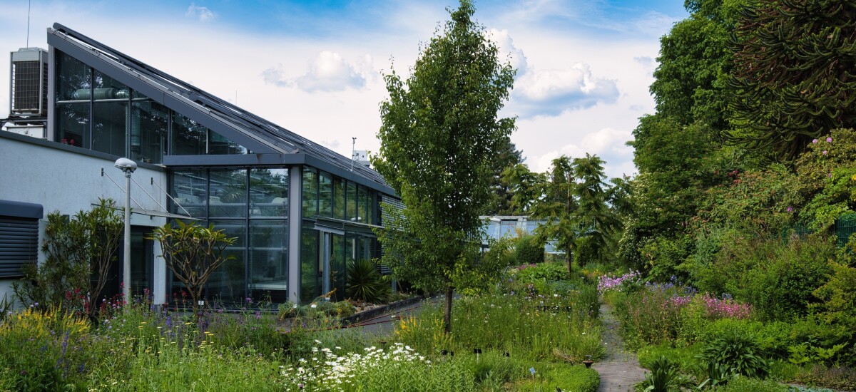 Forschungsgewächshaus