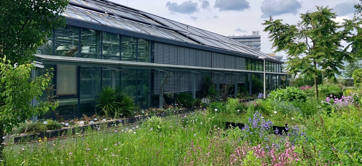 Forschungsgewächshaus