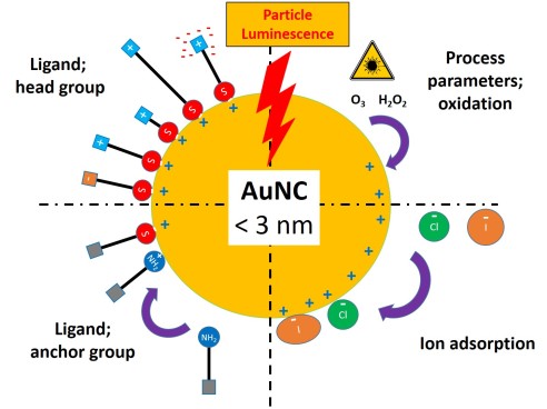 Metal Nanoclusters