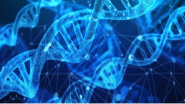 Zu sehen ist ein vollflächiges Bild in verschiedenen Blautönen. 3 blaue, leuchtende DNA Stränge verlaufen von links unten nach rechts oben.