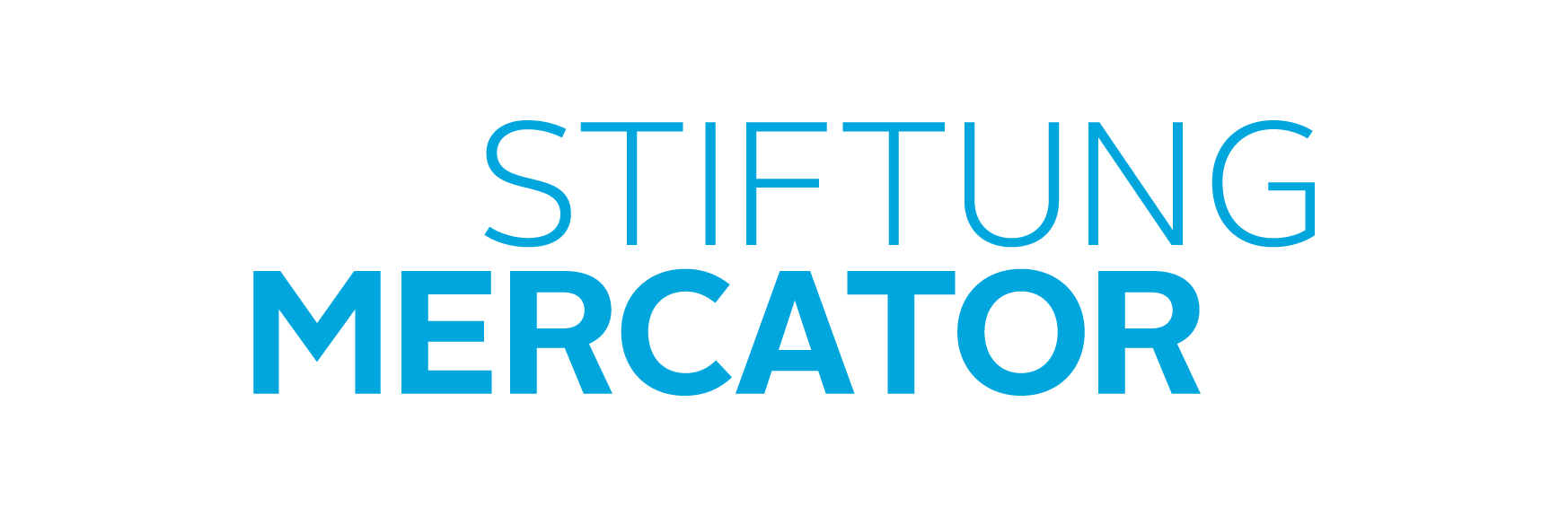 Stiftung Mercator-Logo