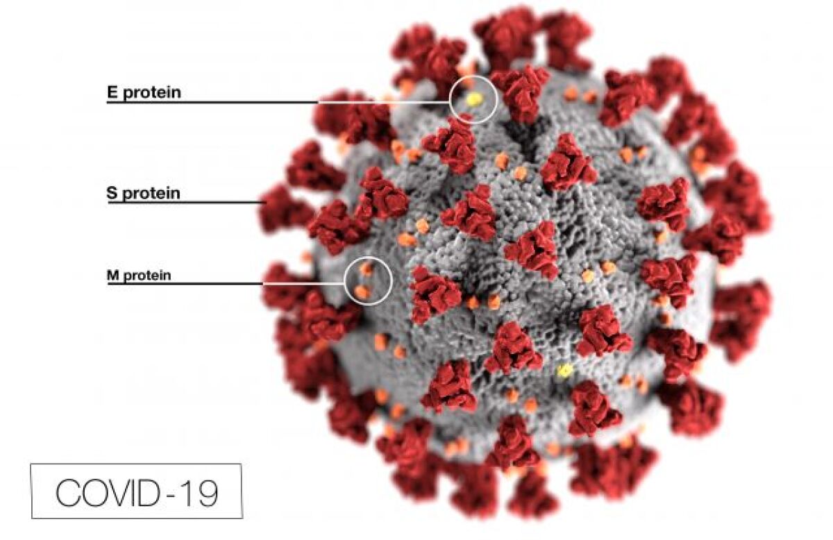 COVID-19 Virus