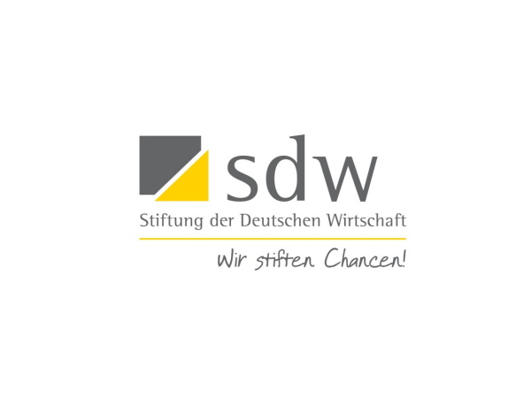 Stiftung der deutschen Wirtschaft Logo