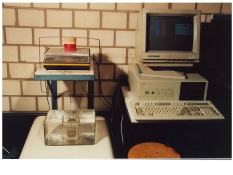 Abb. 4: Der Zerfallsversuch nach Weißmann