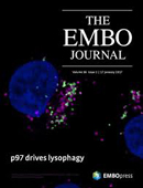 Cover-embo-journal-volume-36-issue-2-01-17
