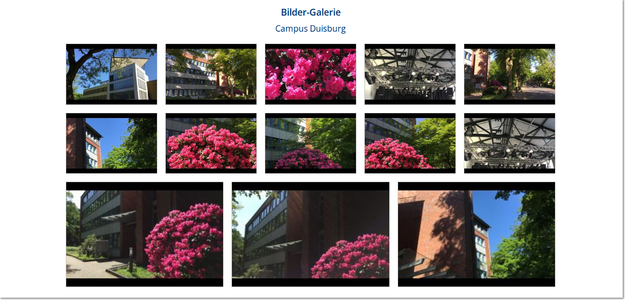 Darstellung der Bildergalerie Bilder Galerie Live