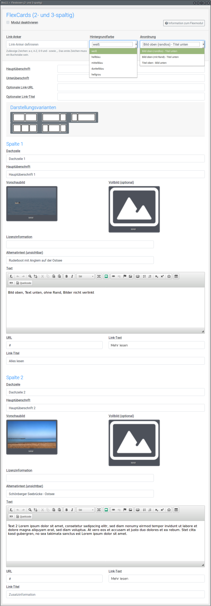 Backend: FlexCards 790 Flexboxen