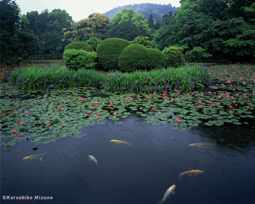 2009 10 Gardens Kyoto Bild 3 Gr Mizuno Katsuhiko C