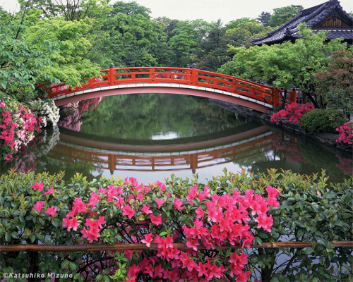 2009 10 Gardens Kyoto Bild 2 Gr Mizuno Katsuhiko C