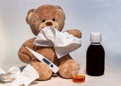 Teddy Krankheit Blog