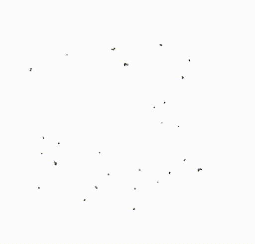 Wollny Testcaseplasma