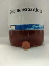 56 mg gold platelet next to a 1 cent coin and a colloid with 58mg of gold inside.
