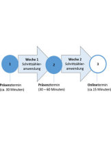 Visuelle Darstellung des Ablaufs der Studie