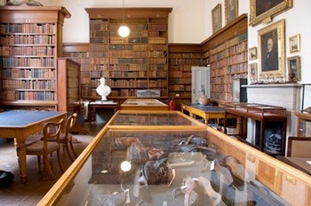 Image of the libraray at the Wisbech and Fenland Museum