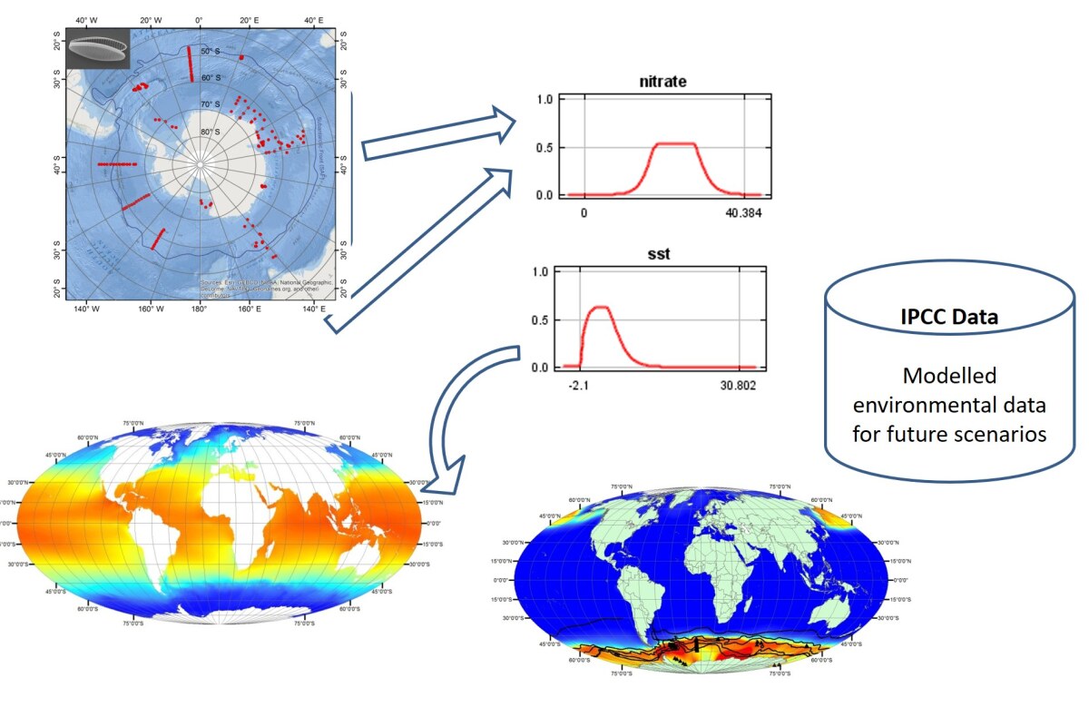 Species distribution modeling for biogeographic scenario projection