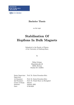 Bachelorarbeit Igor Polonskiy Bild