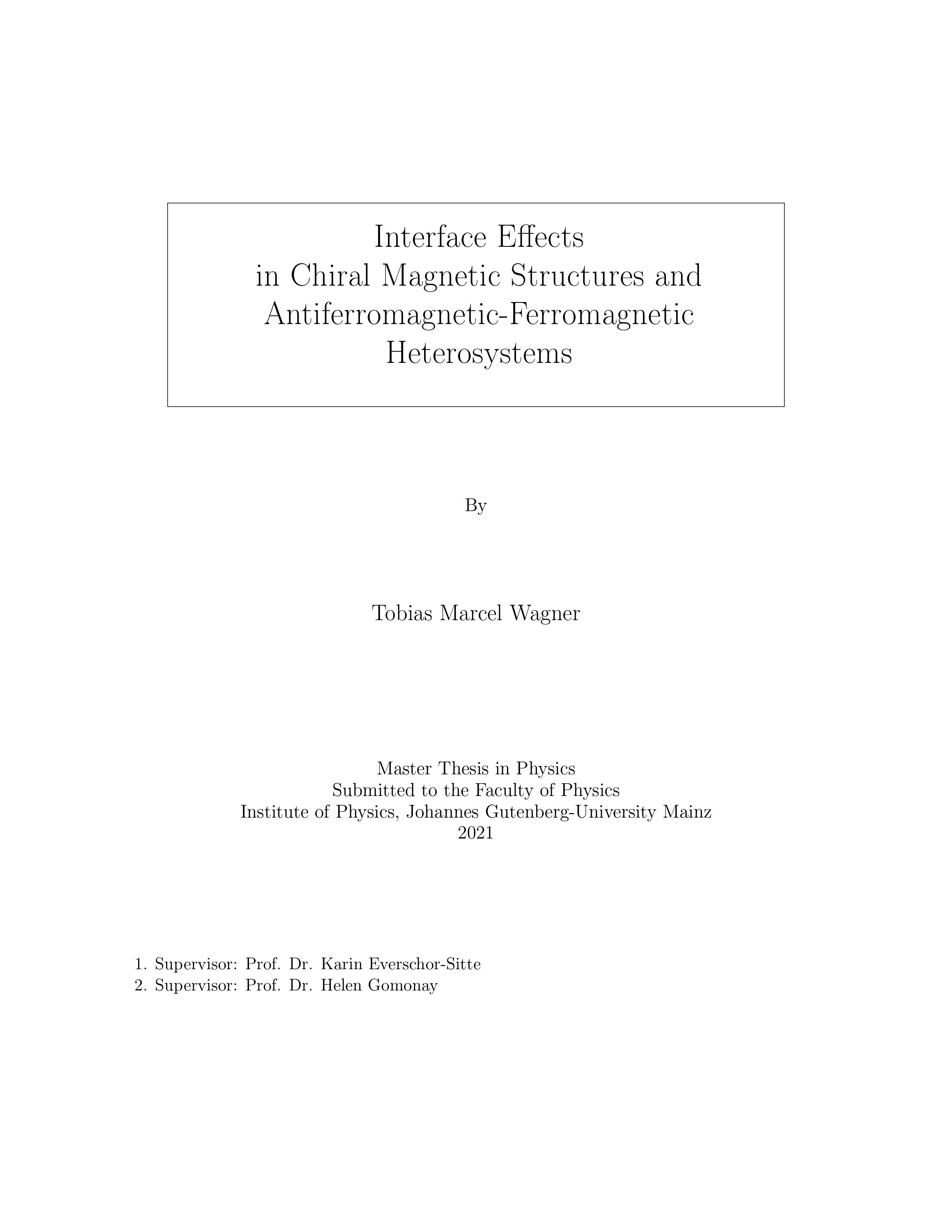Master thesis Tobias Marcel Wagner