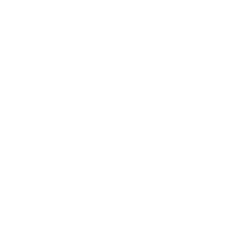 Ude Ifp Logo Small Footer