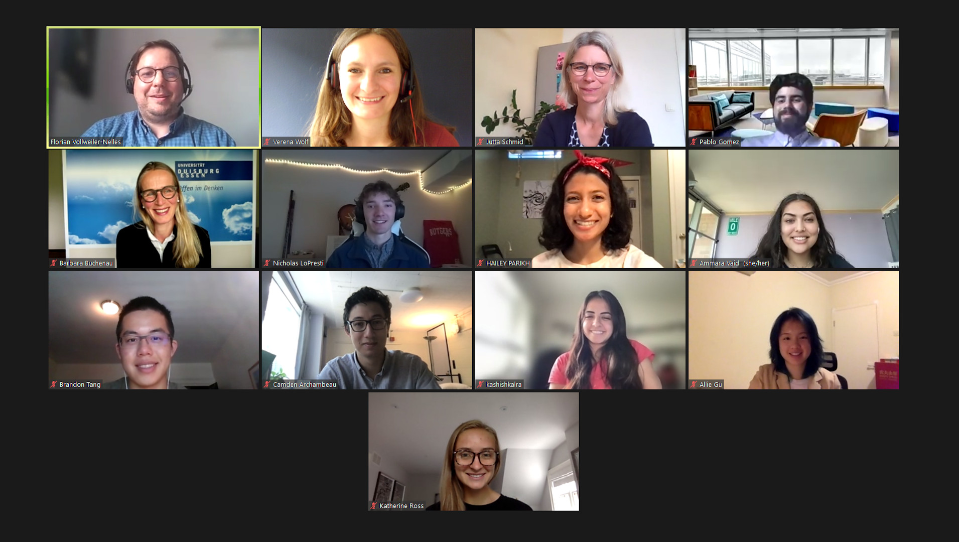 Screenshot of all participants during the video call