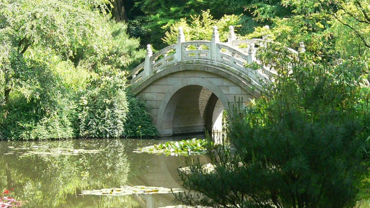 Brücke im chinesischen Garten im Duisburger Zoo