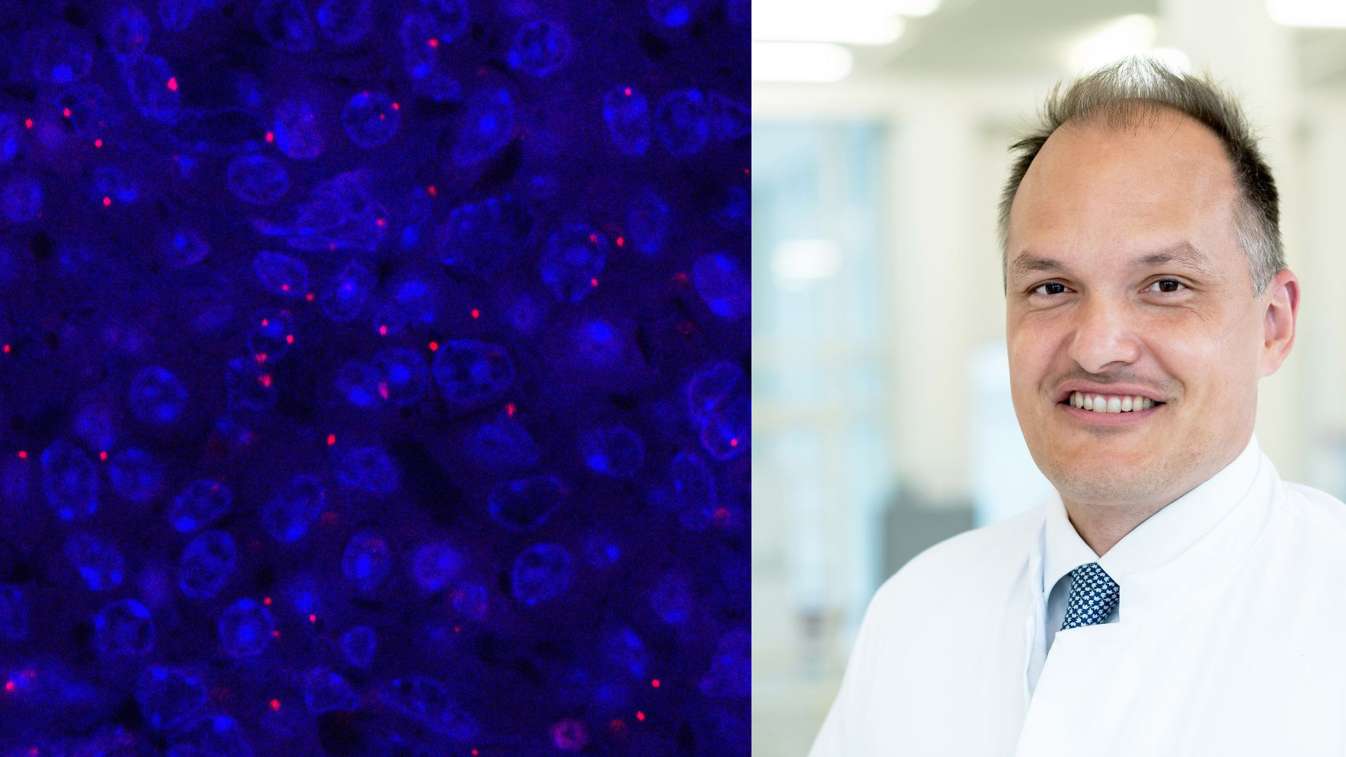 Left: interaction of signalling proteins in a lymphoma, right: Prof. Christian Reinhardt 