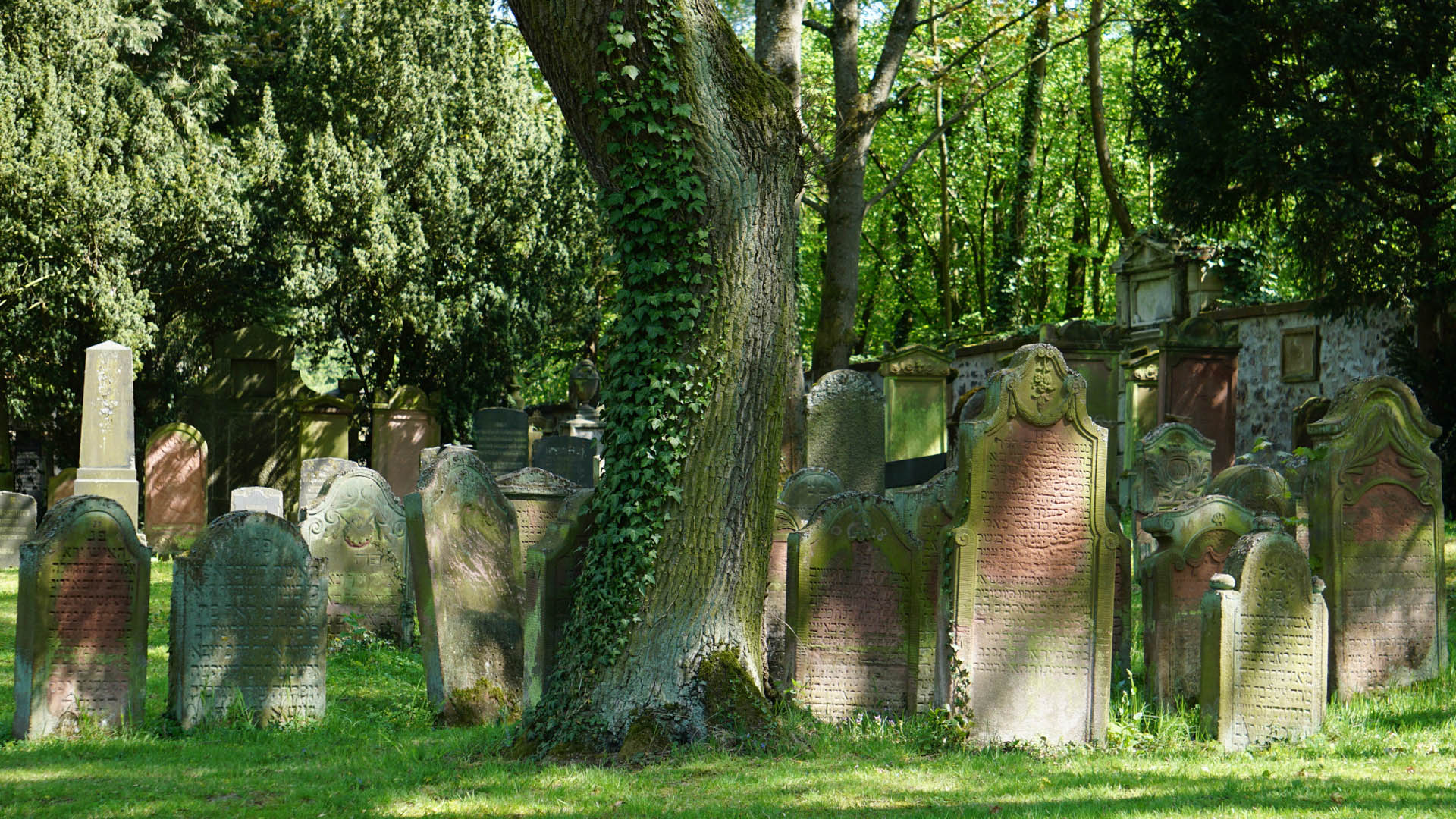 Jüdischer Friedhof in Darmstadt 