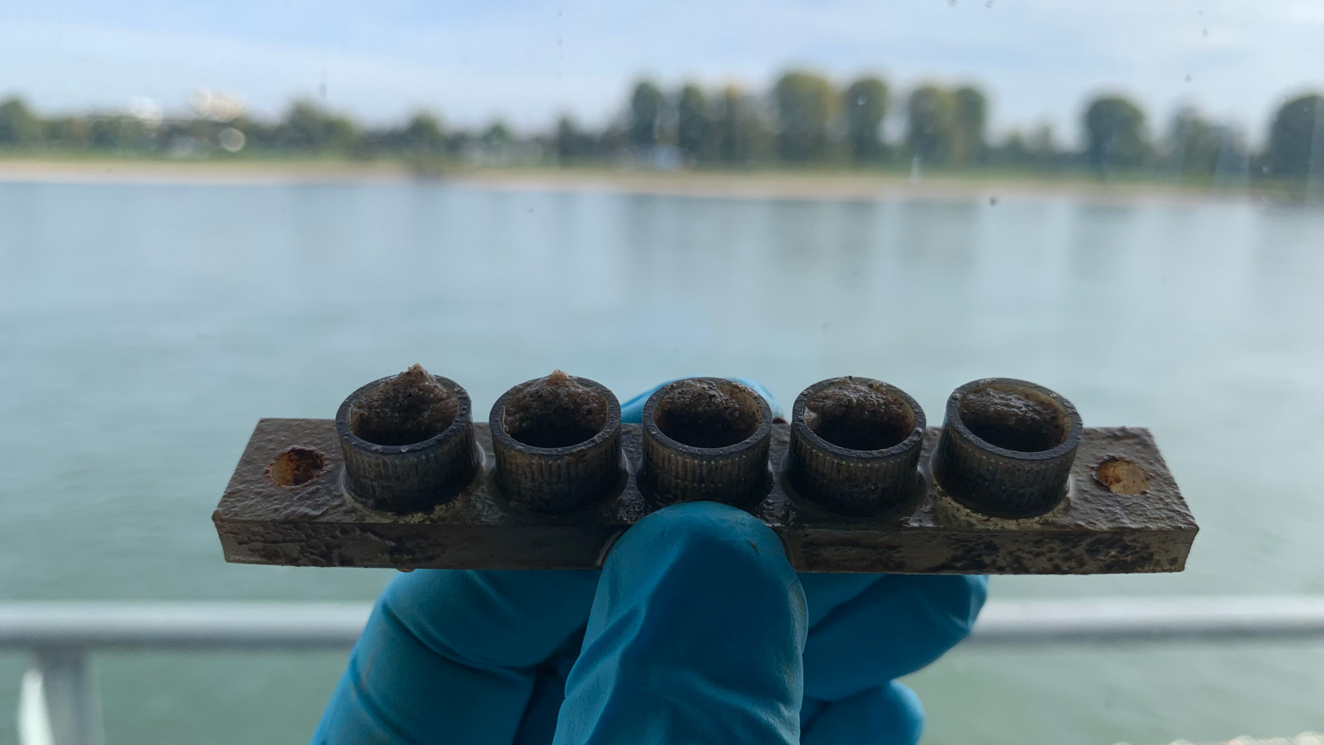 Auf einer schmalen Platte sind fünf ringförmige Behältnisse befestigt, die mit Proben gefüllt sind. Eine Hand im blauen Handschuh hält die Platte in die Kamera, im Hintergrund ist unscharf der Rhein und dessen Ufer zu sehen.