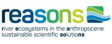 Logo der Organisationseinheit "REASONS"