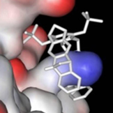 Molekulare Pinzette mit gebundenem Lysin (blau) am Protein