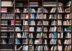 Abbildung eines Bücherregals