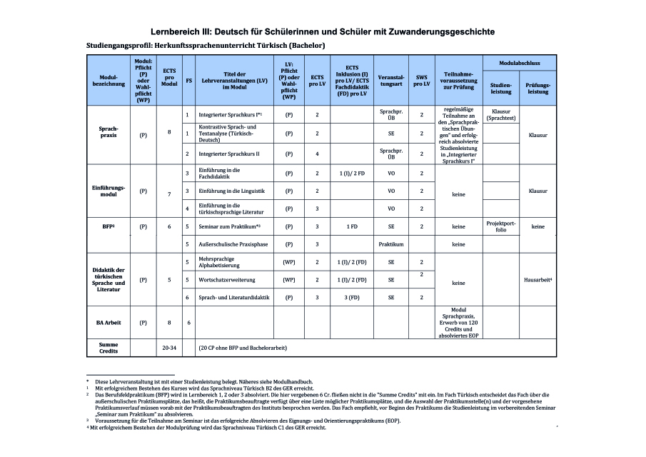 Studienverlaufsplan Bachelor HSU_Türkisch-0925