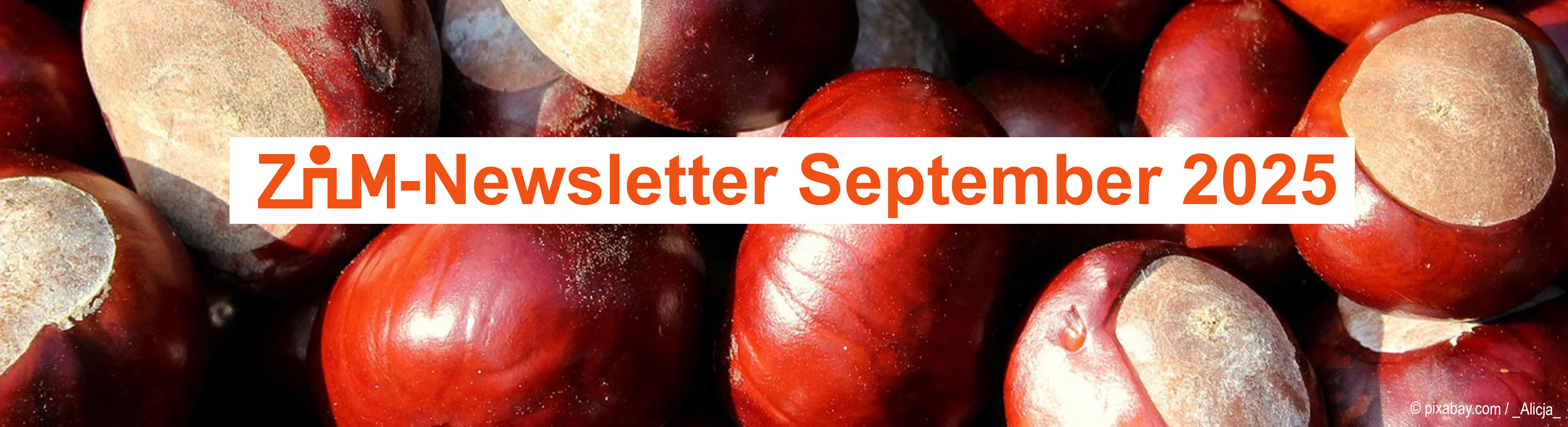 Header Zim-newsletter Februar 2024