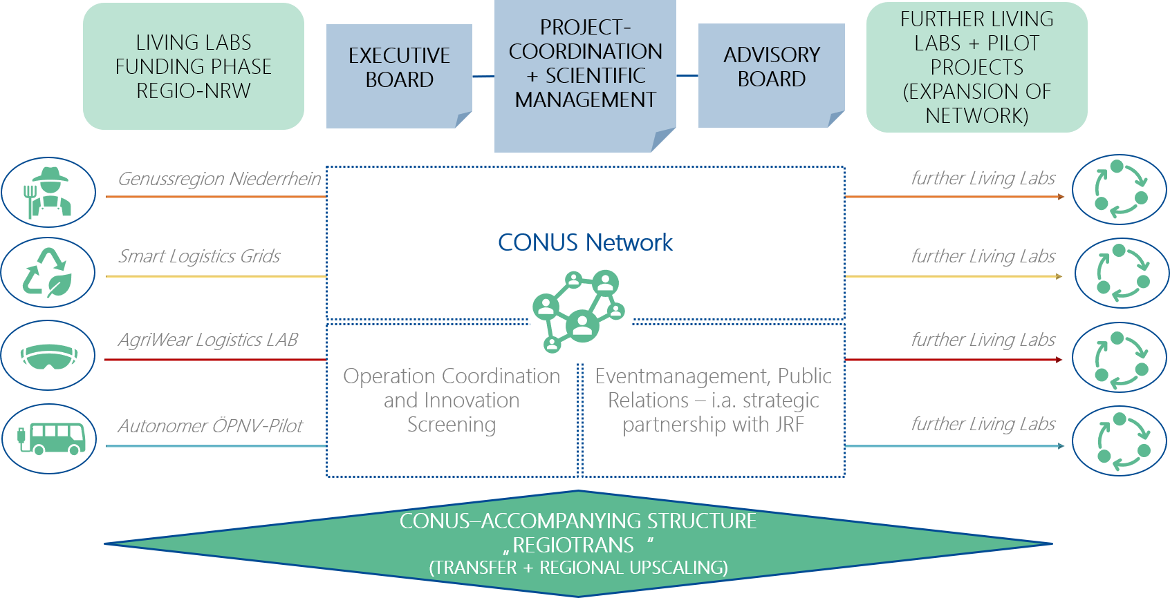 Conus - Organigramm En - 20200324
