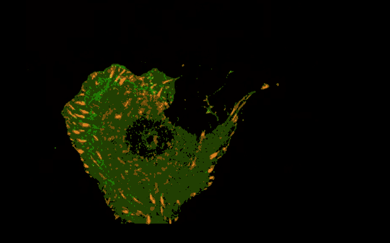 Portrait of a cell
