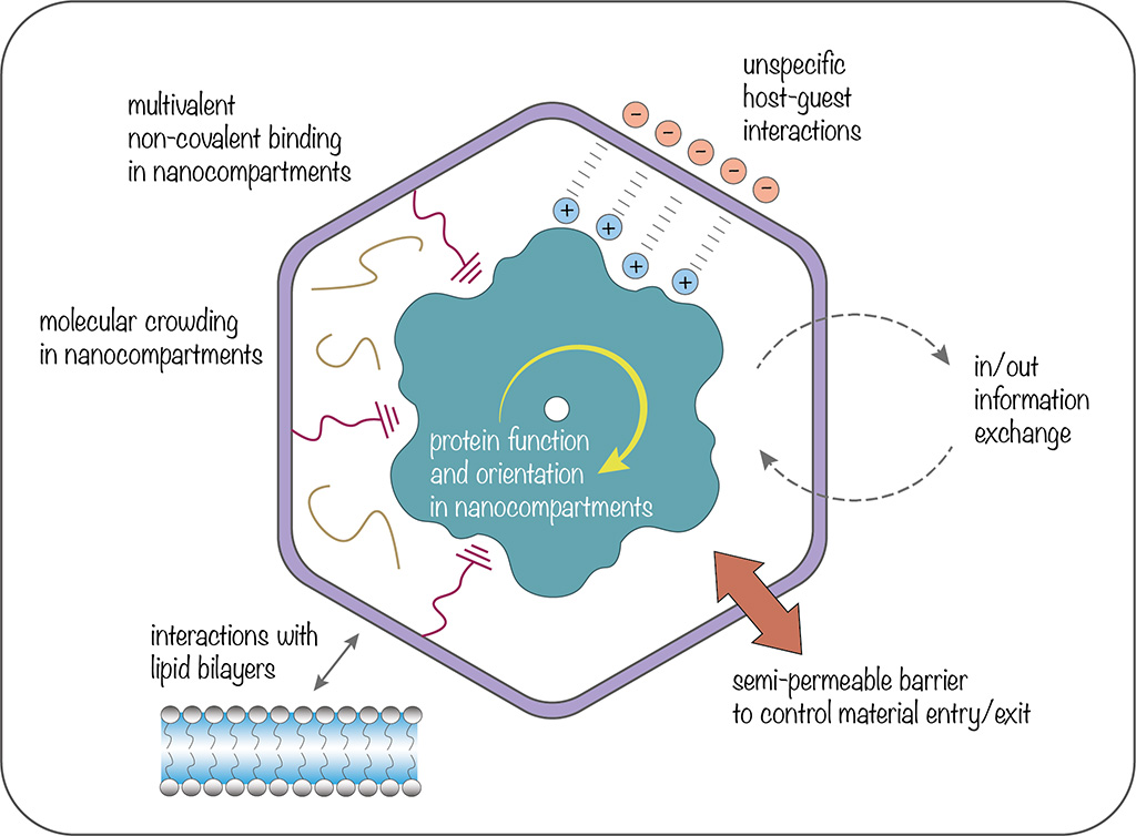 how DNA nanocompartments communicate with their surroundings