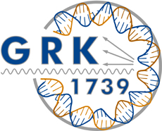 GRK 1793 Logo