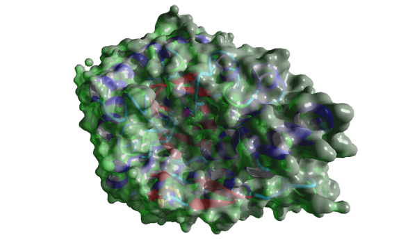 Corrinoid: coenzyme M methyltransferase MtaA