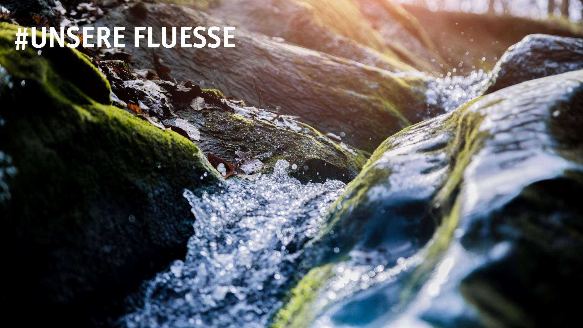 News 240730 Unserefluesse